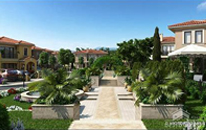 Icon image